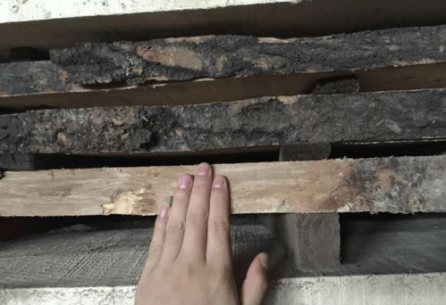 白楊木板烘干工藝詳解 烘烤大師的親身實(shí)踐分享