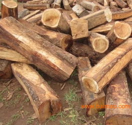 上海非洲黃花梨木材進口報關代理服務全解析 廠家、流程與價格指南