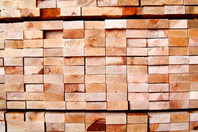 走進木藝之源 探索木材廠的影像之旅